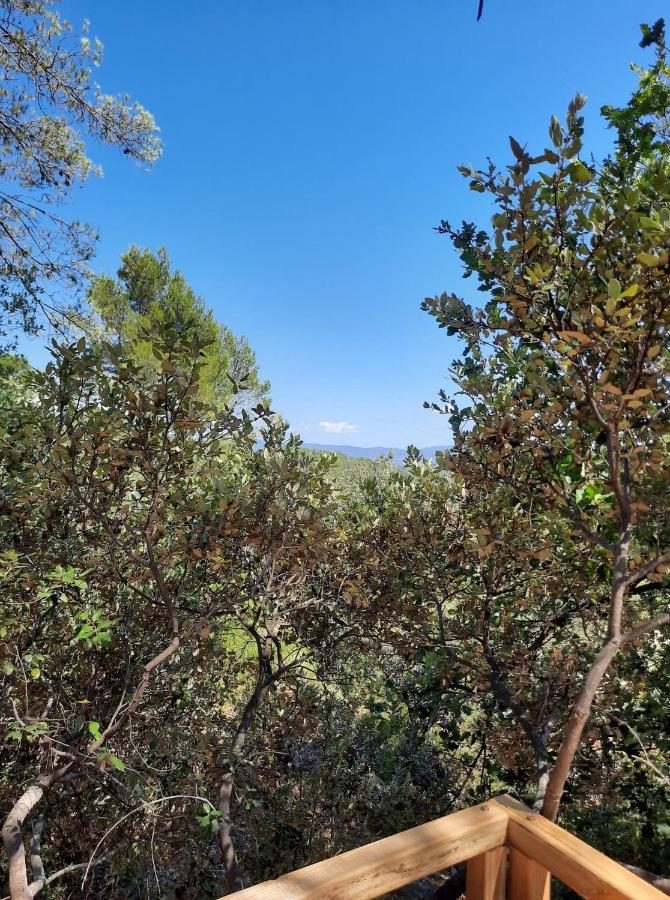 Cabane Dans Les Arbres "La Kaz Aux Cigales" Кюэр Экстерьер фото