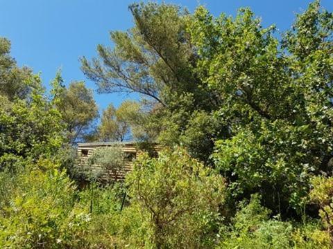 Cabane Dans Les Arbres "La Kaz Aux Cigales" Кюэр Экстерьер фото