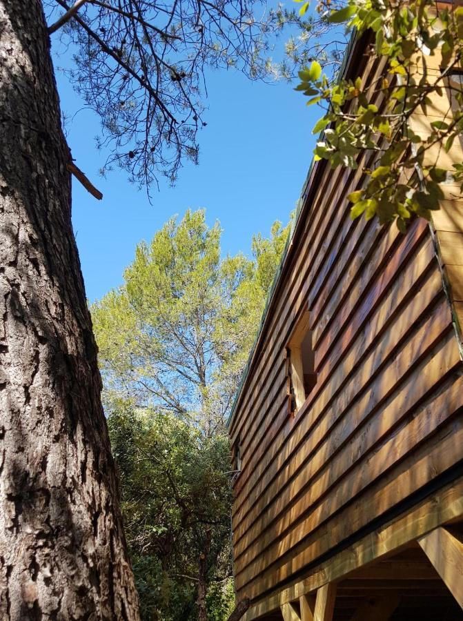 Cabane Dans Les Arbres "La Kaz Aux Cigales" Кюэр Экстерьер фото
