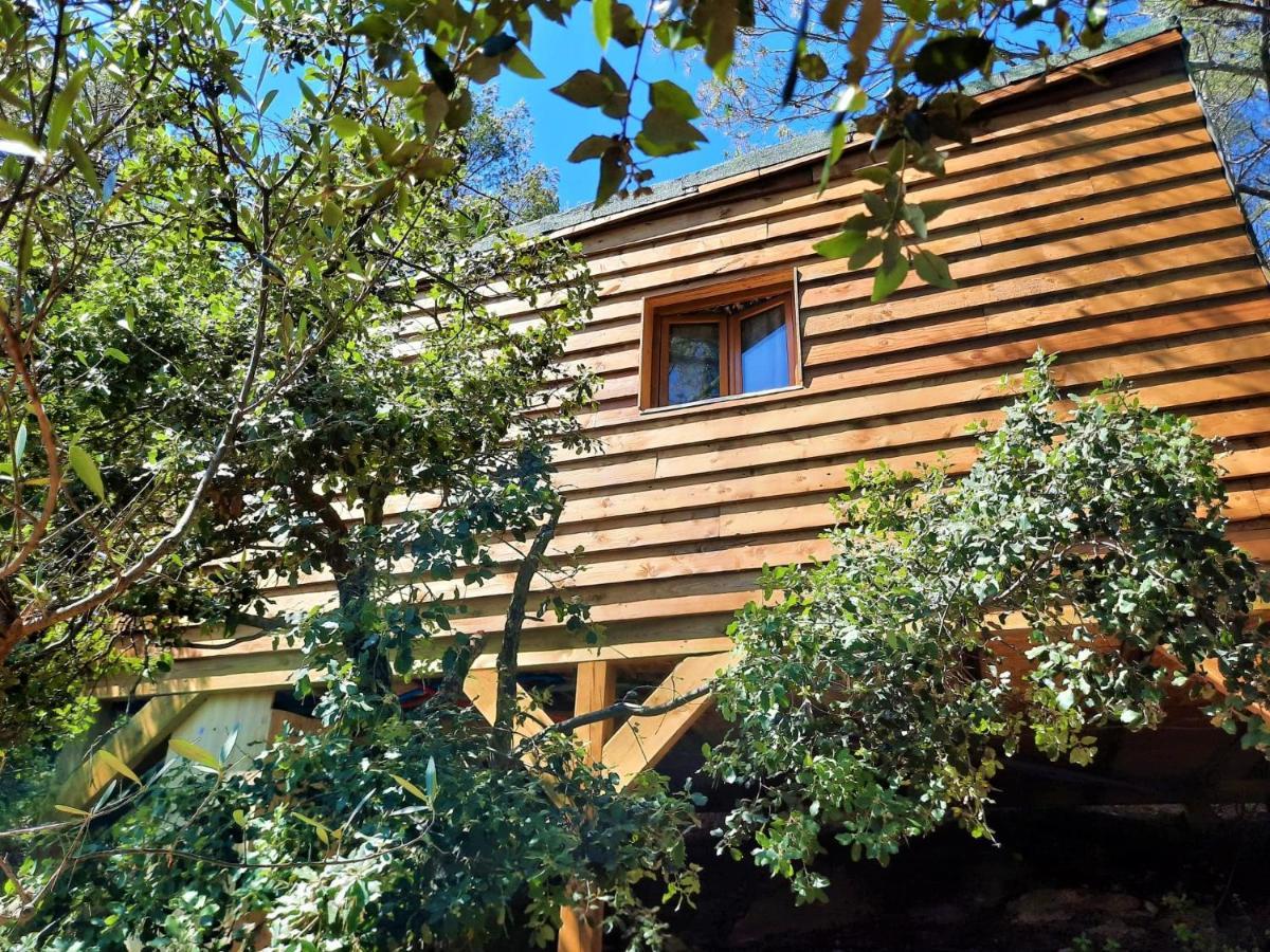 Cabane Dans Les Arbres "La Kaz Aux Cigales" Кюэр Экстерьер фото